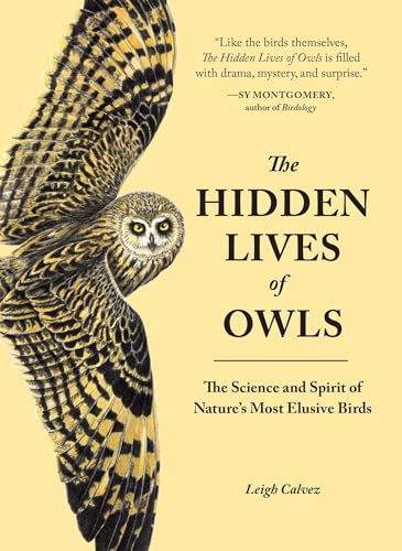 The Hidden Lives of Owls The Science and Spirit of Nature's Most Elusive Birds [Paperback]