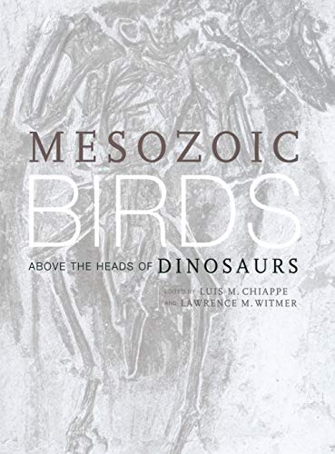 Mesozoic Birds Above the Heads of Dinosaurs [Hardcover]
