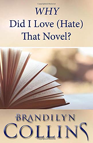 Why Did I Love (hate) That Novel [Paperback]