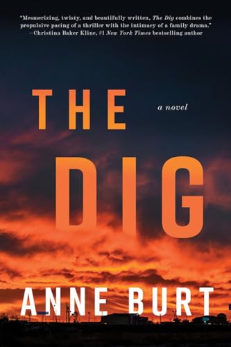 The Dig A Novel [Hardcover]