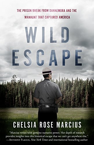 Wild Escape The Prison Break from Dannemora and the Manhunt that Captured Ameri [Paperback]