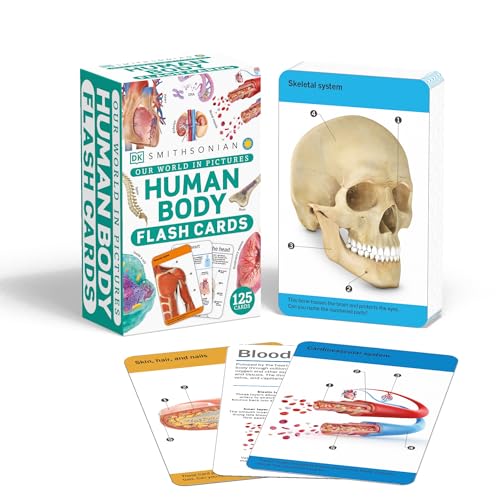 Our World in Pictures Human Body Flash Cards [Cards]