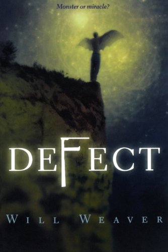 Defect [Paperback]