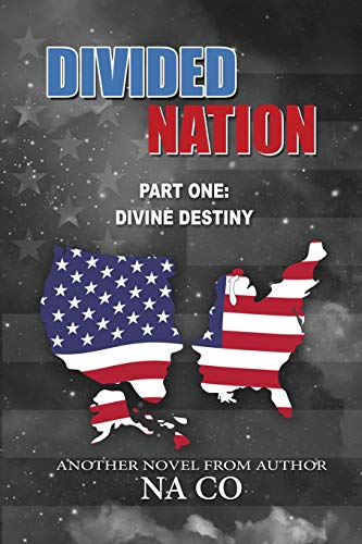 Divided Nation [Paperback]
