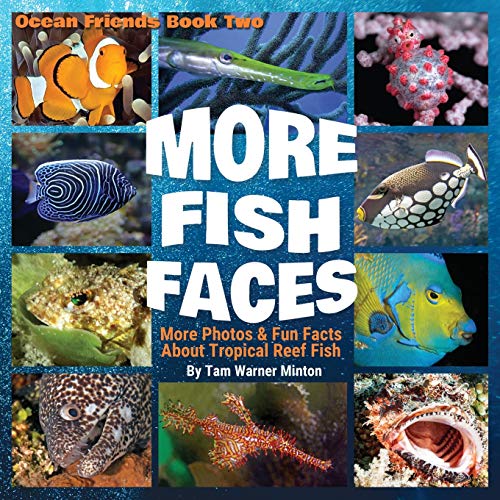 More Fish Faces  More Photos & Fun Facts about Tropical Reef Fish [Unknown]