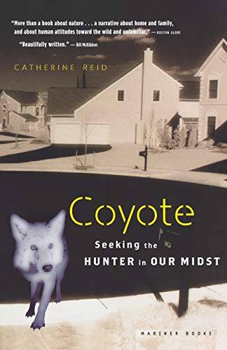 Coyote Seeking the Hunter in Our Midst [Paperback]