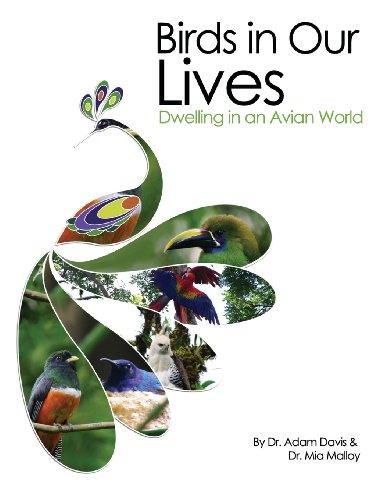 Birds In Our Lives Dwelling In An Avian World [Paperback]