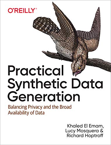 Practical Synthetic Data Generation Balancing Privacy and the Broad Availabilit [Paperback]
