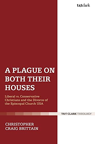 A Plague on Both Their Houses Liberal vs. Conservative Christians and the Divor [Paperback]