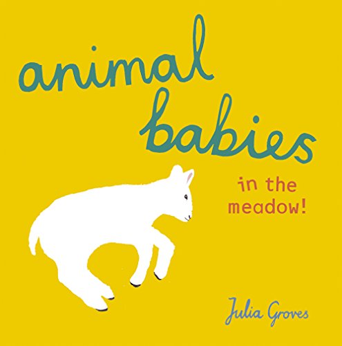 Animal Babies In The Meadow [Hardcover]
