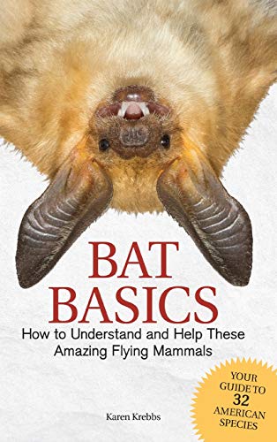 Bat Basics How to Understand and Help These Amazing Flying Mammals [Hardcover]