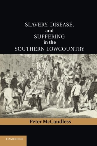 Slavery, Disease, and Suffering in the Southern Lowcountry [Paperback]
