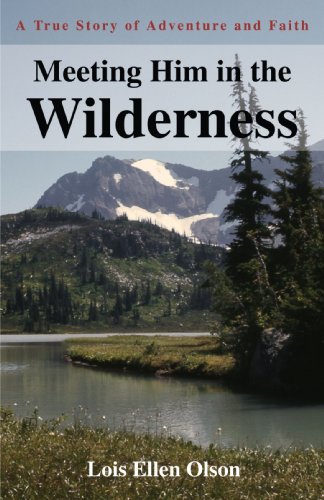 Meeting Him In The Wilderness A True Story Of Adventure And Faith [Paperback]