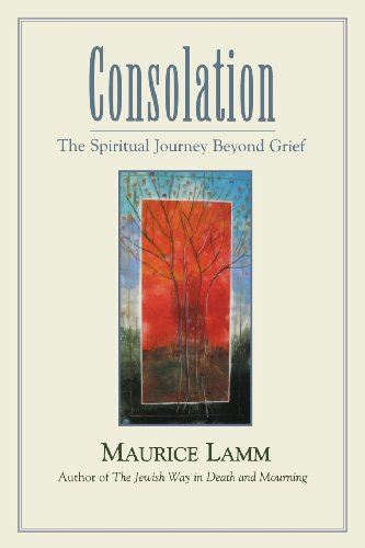 Consolation The Spiritual Journey Beyond Grief [Paperback]