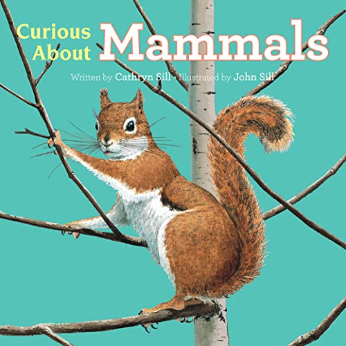 Curious About Mammals [Board book]