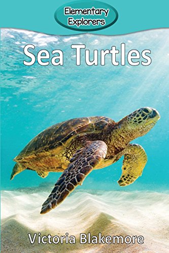 Sea Turtles [Paperback]