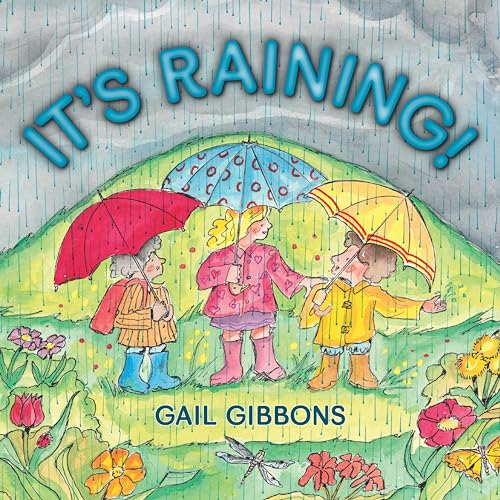 It's Raining [Paperback]