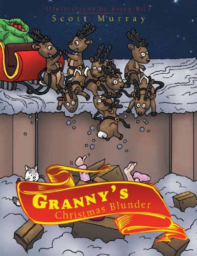 Granny's Christmas Blunder [Paperback]