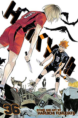 Haikyu, Vol. 36 [Paperback]