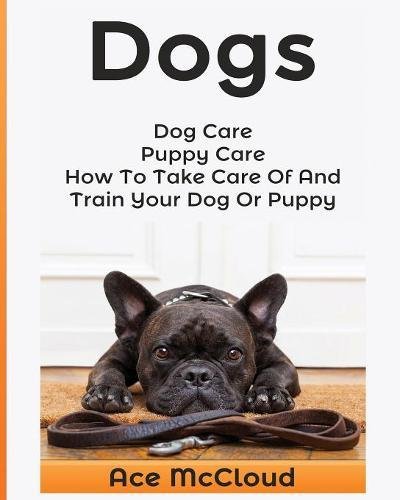 Dogs Dog Care Puppy Care How To Take Care Of And Train Your Dog Or Puppy [Paperback]