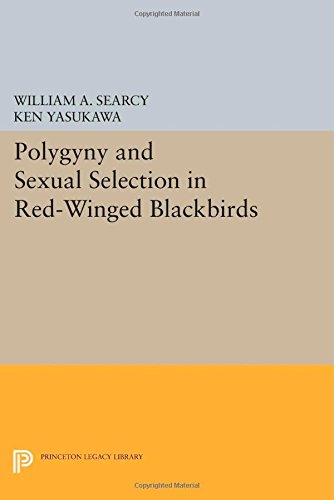 Polygyny and Sexual Selection in Red-Winged Blackbirds [Paperback]