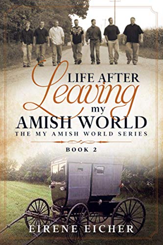 Life after Leaving My Amish World [Paperback]