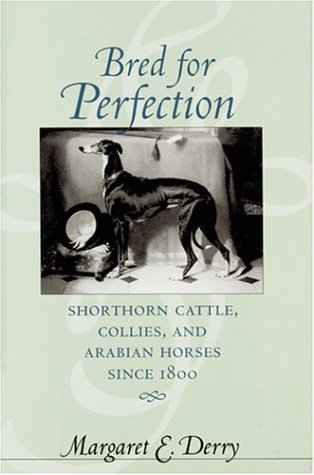 Bred For Perfection Shorthorn Cattle, Collies, And Arabian Horses Since 1800 (a [Hardcover]