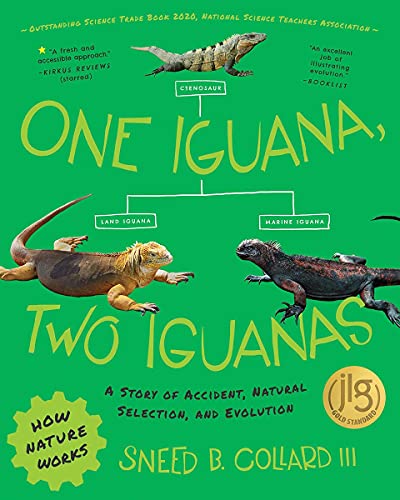 One Iguana, Two Iguanas A Story of Accident, Natural Selection, and Evolution [Paperback]