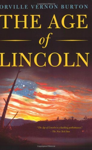 The Age of Lincoln A History [Paperback]