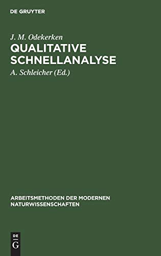 Qualitative Schnellanalyse [Hardcover]