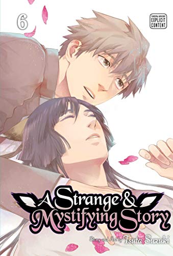 A Strange and Mystifying Story, Vol. 6 [Paperback]