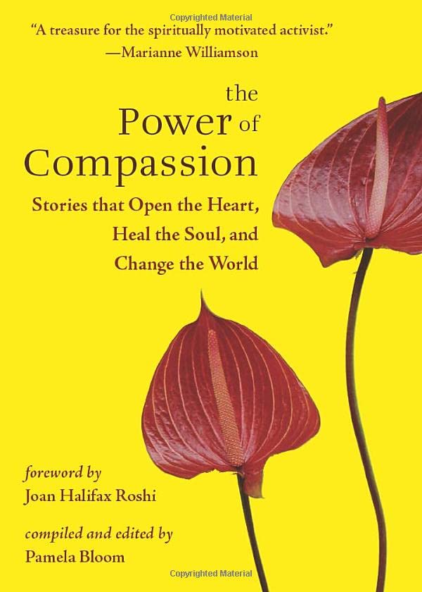 The Power Of Compassion Stories That Open The Heart, Heal The Soul, And Change  [Paperback]