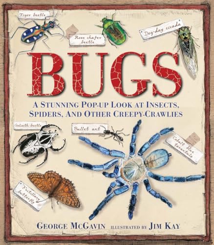 Bugs A Stunning Pop-up Look at Insects, Spiders, and Other Creepy-Crawlies [Hardcover]