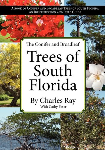 The Conifer And Broadleaf Trees Of The South [Paperback]