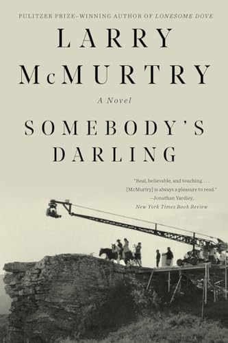 Somebody's Darling A Novel [Paperback]