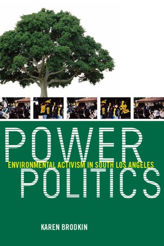 Power Politics Environmental Activism In South Los Angeles [Paperback]