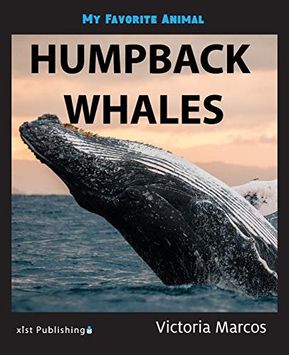 My Favorite Animal  Humpback Whales [Paperback]