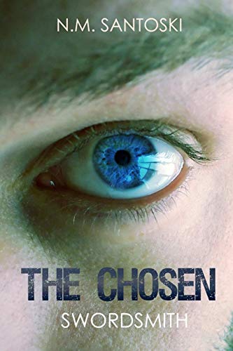 The Chosen Swordsmith [Paperback]