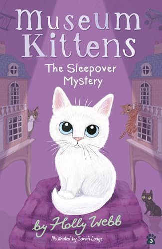 The Sleepover Mystery [Paperback]
