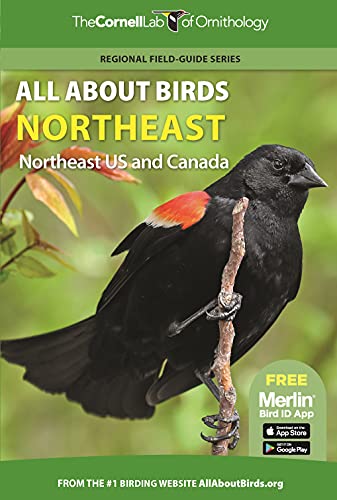 All About Birds Northeast Northeast US and Canada [Paperback]