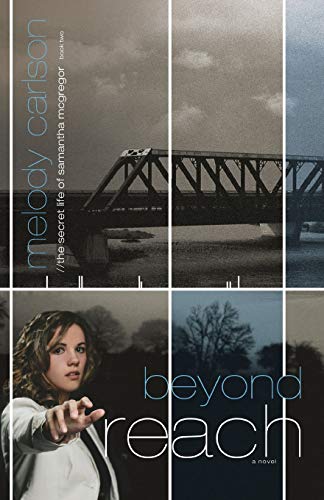 Beyond Reach [Paperback]