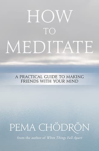 How to Meditate A Practical Guide to Making Friends with Your Mind [Paperback]