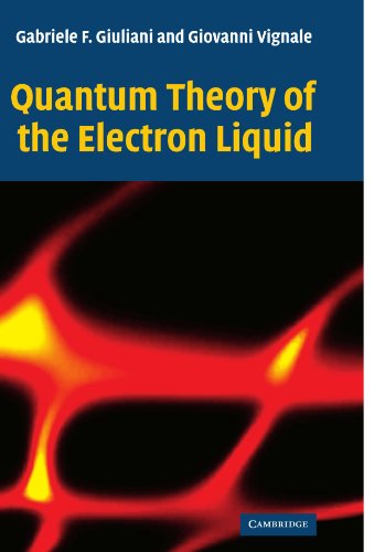 Quantum Theory of the Electron Liquid [Paperback]