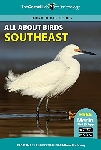 All About Birds Southeast [Paperback]