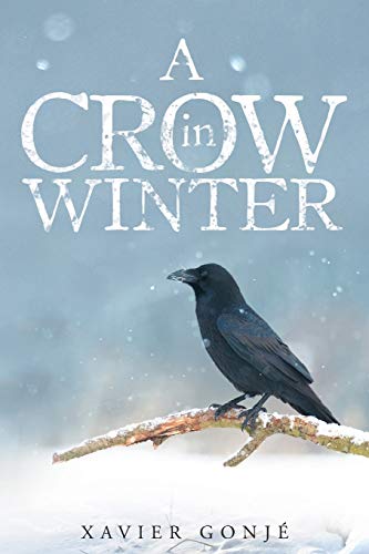 A Crow In Winter [Paperback]