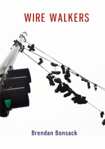 Wire Walkers [Paperback]