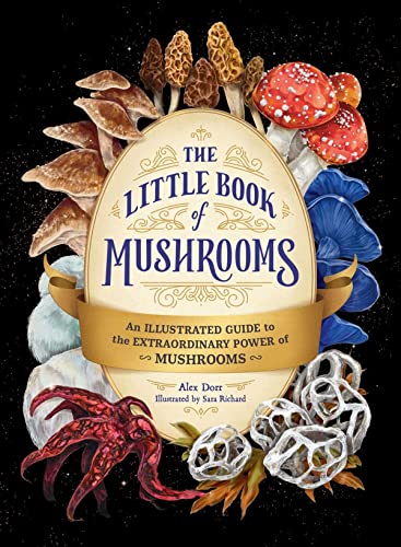 The Little Book of Mushrooms An Illustrated Guide to the Extraordinary Power of [Hardcover]