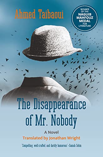 The Disappearance of Mr. Nobody A Novel [Paperback]
