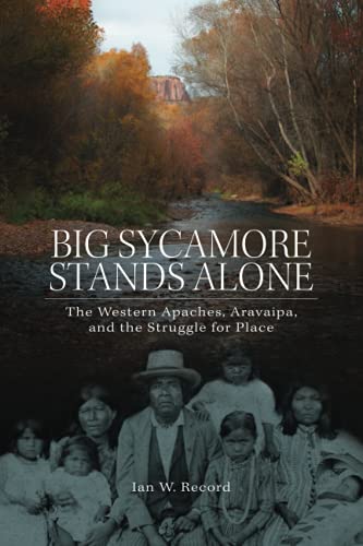 Big Sycamore Stands Alone The Western Apaches, Aravaipa, And The Struggle For P [Paperback]