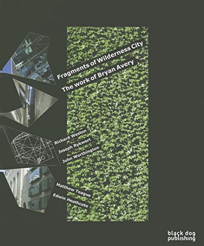 Fragments of a Wilderness City Brian Avery [Paperback]